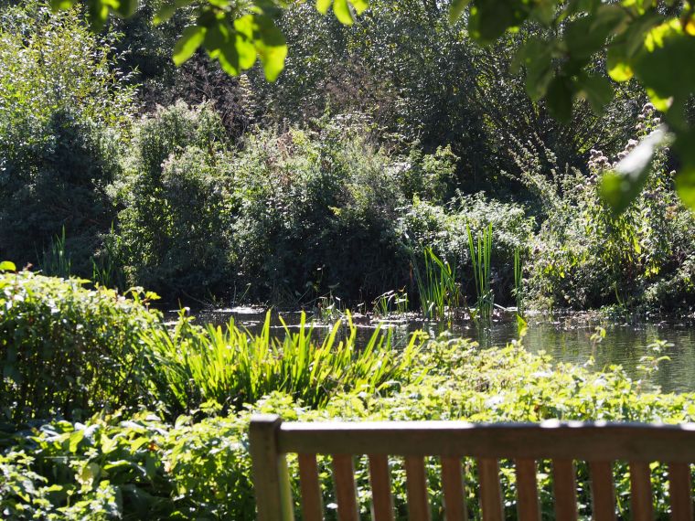 OLYMPUS DIGITAL CAMERA